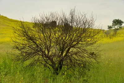 DSC_6292 (Large).JPG